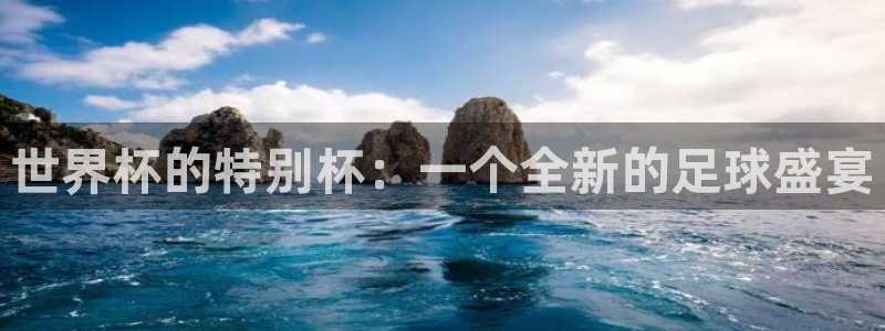 世界杯比赛：世界杯的特别杯：一个全新的足球盛宴