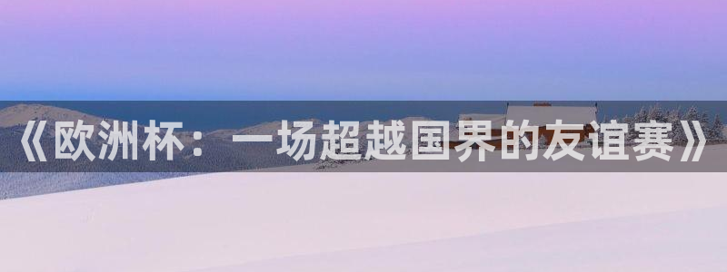 世界杯 直播：《欧洲杯：一场超越国界的友谊赛》