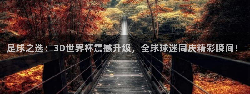 2026世界杯亚洲预选赛：足球之选：3D世界杯震撼升级，全球球迷同庆精彩瞬间！