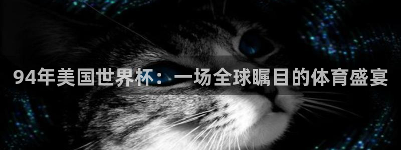 世界杯球队排名：94年美国世界杯：一场全球瞩目的体育盛宴