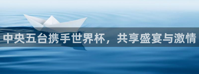 世界杯足球比赛：中央五台携手世界杯，共享盛宴与激情