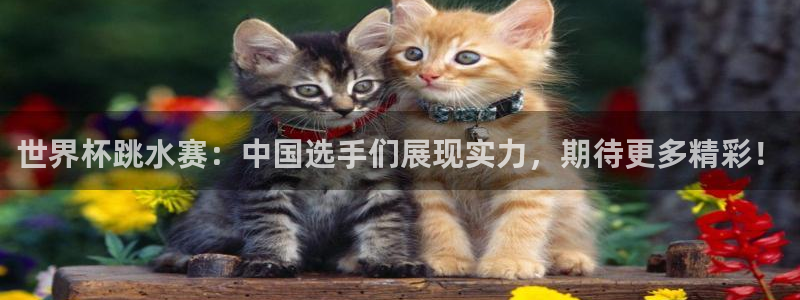 2006年世界杯：世界杯跳水赛：中国选手们展现实力，期待更多精彩！