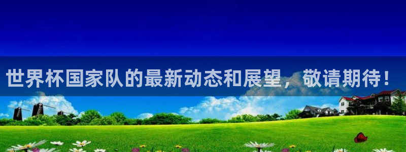 世界杯欧洲区预选赛：世界杯国家队的最新动态和展望，敬请期待！